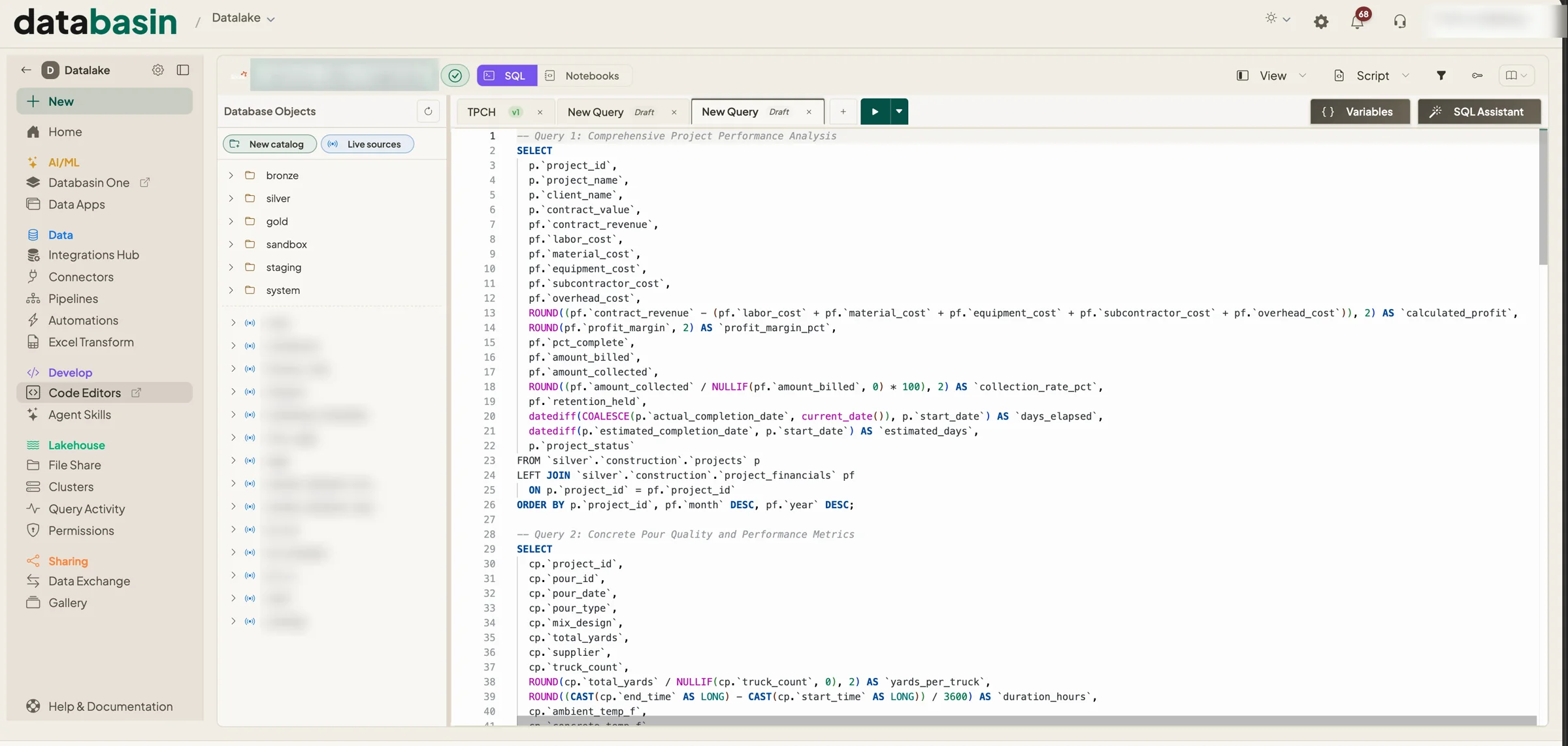 The Databasin SQL editor: catalogs on the left, tabbed and versioned queries in the middle, joining project and financial tables in the silver layer.